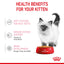 Royal Canin Kitten Jelly | Wet Food for Kittens  - 85g