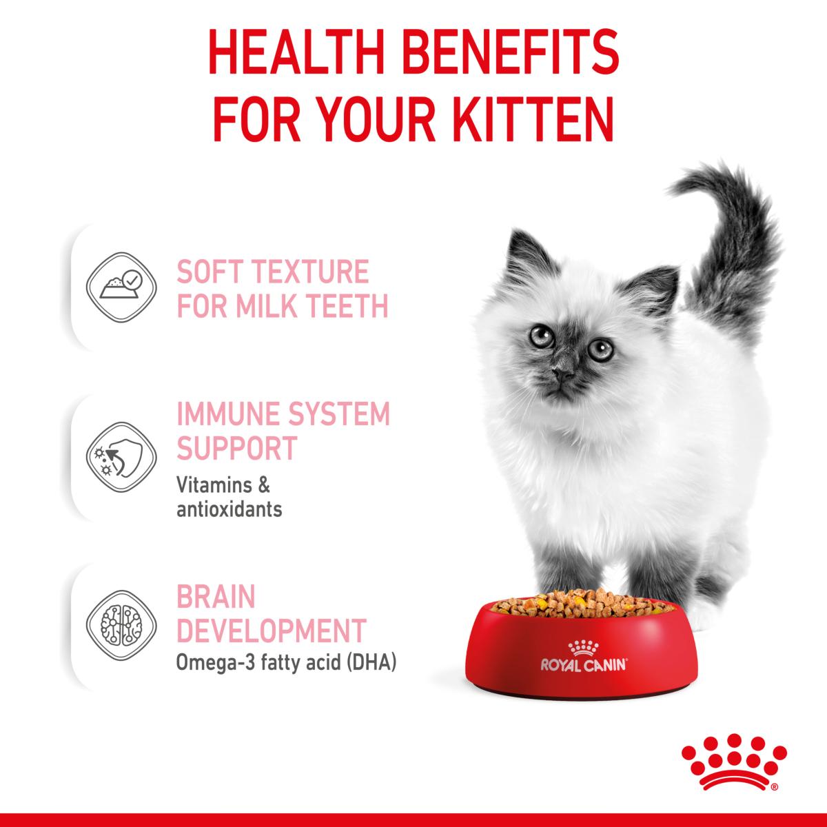 Royal Canin Kitten Jelly | Wet Food for Kittens  - 85g