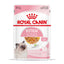 Royal Canin Kitten Jelly | Wet Food for Kittens  - 85g