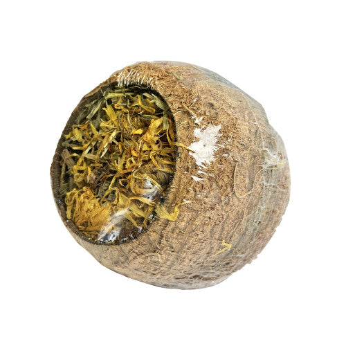 Forage Filled Coconut Small Pet Treat | Natural Enrichment for Rabbits & Small Animals