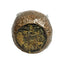 Forage Filled Coconut Small Pet Treat | Natural Enrichment for Rabbits & Small Animals