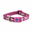 Dog collar with purple buckle and paw print design on a white background