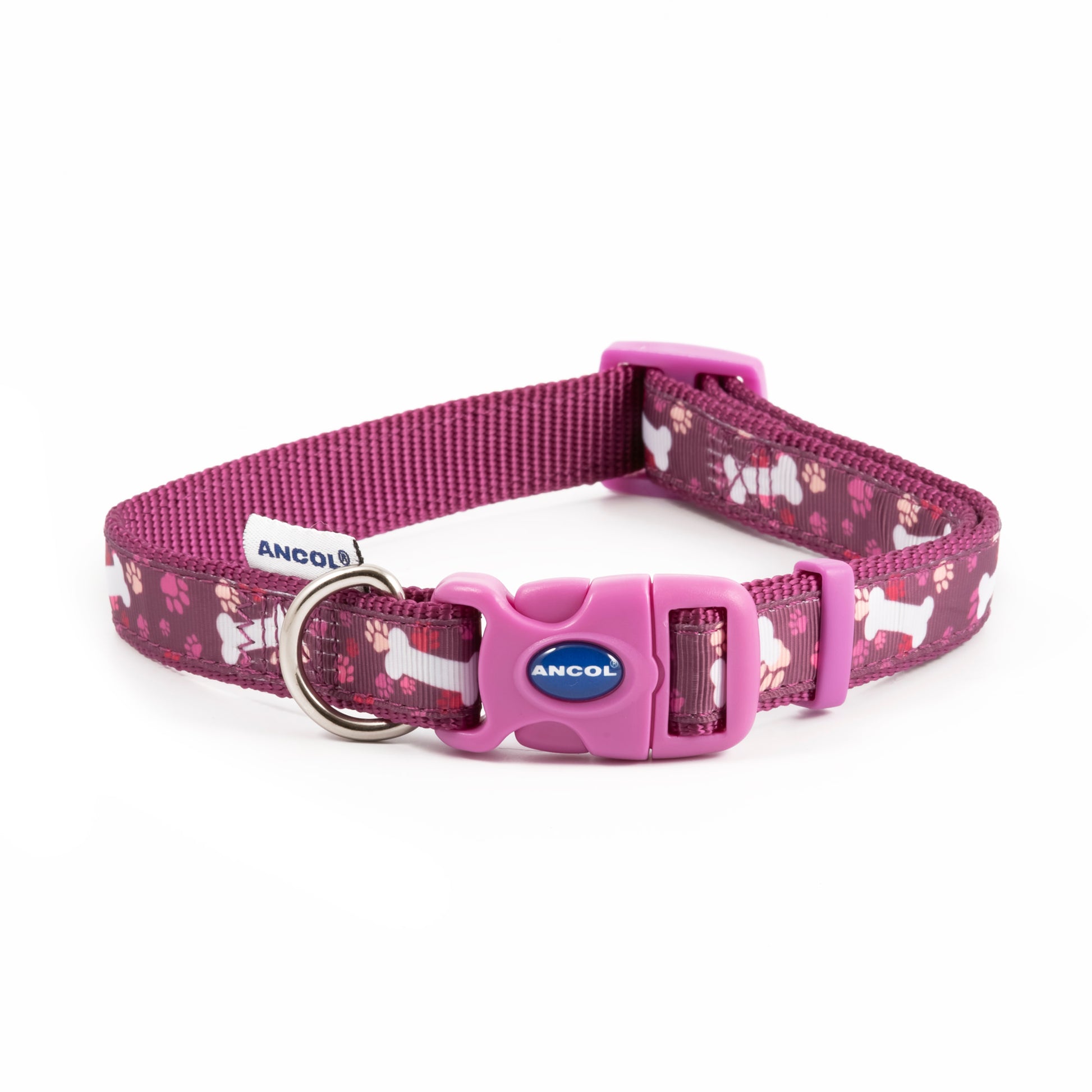 Dog collar with purple buckle and paw print design on a white background