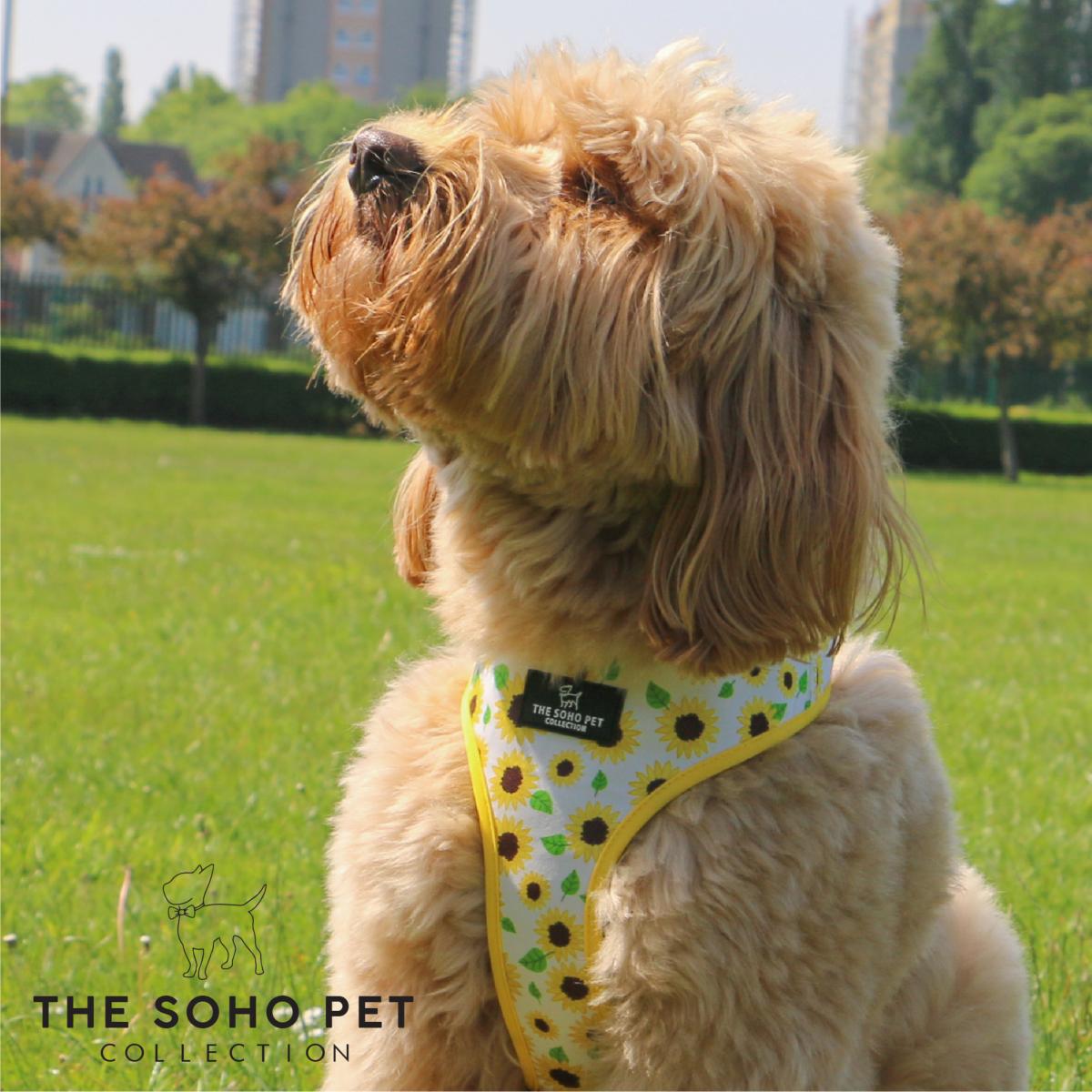 Ancol | Soho Collection | Dog Harness | Reversible Sunflower & Yellow Check Pattern