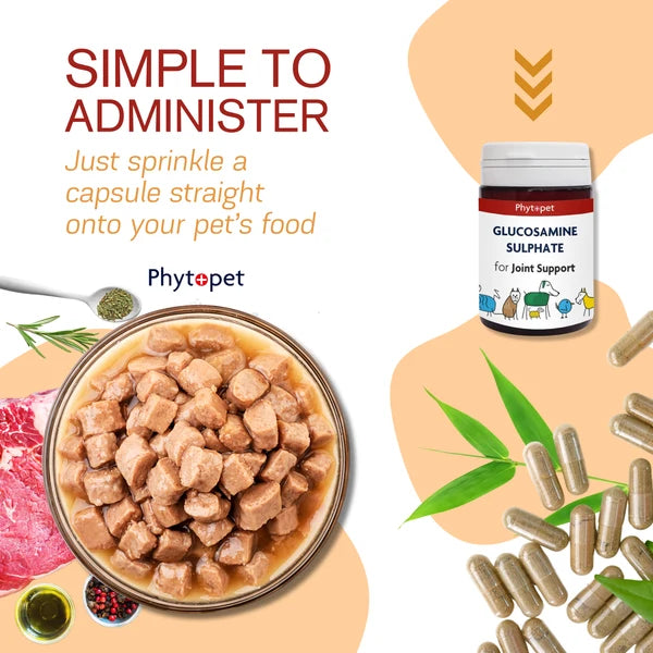Phytopet Glucosamine Sulphate supplement for pets, featuring a bottle of capsules alongside a bowl of wet cat food, loose capsules, and ingredient illustrations on a stylized beige and white background.