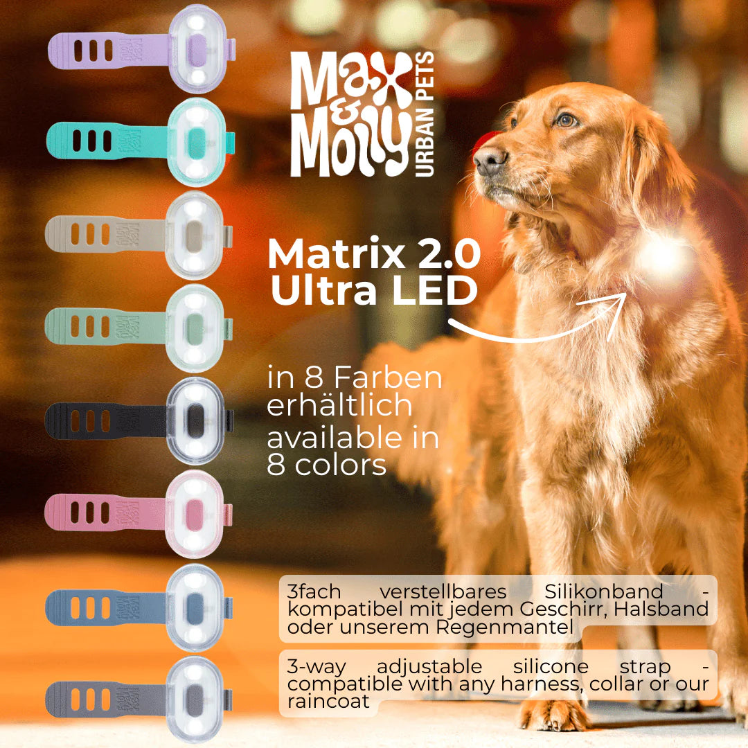 Dog wearing a Max & Molly Urban Pets Matrix 2.0 Ultra LED product with color options displayed.