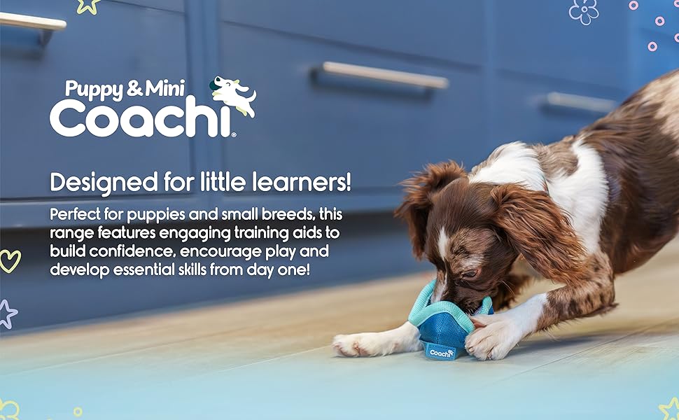 Dog playing with a toy next to text about 'Puppy & Mini Coach' training aids.