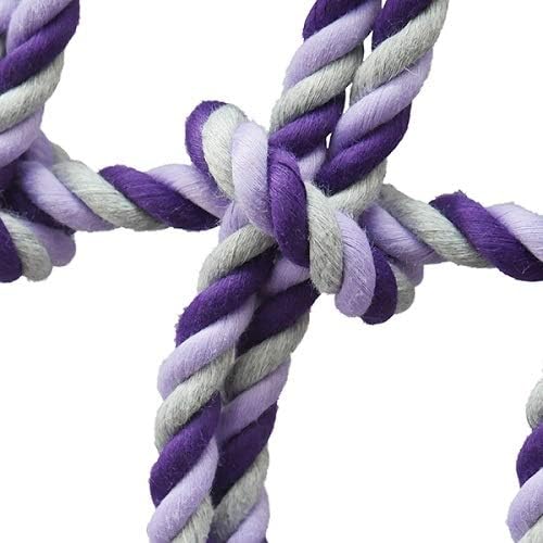 Close-up of a purple and gray braided rope toy on a white background