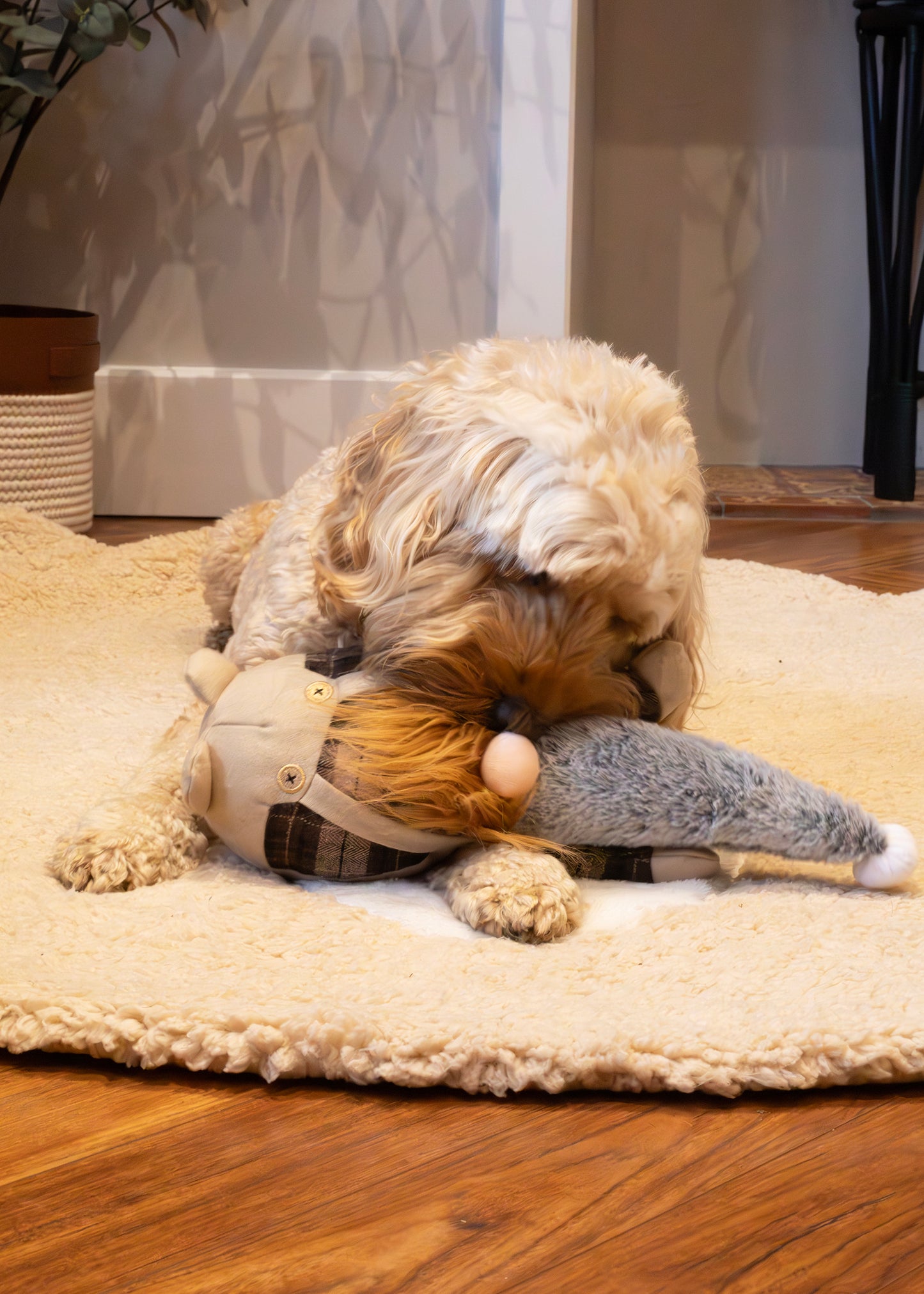 Gerard Gonk | Dog Christmas Plush & Tennis Ball Toy by Cupid & Comet