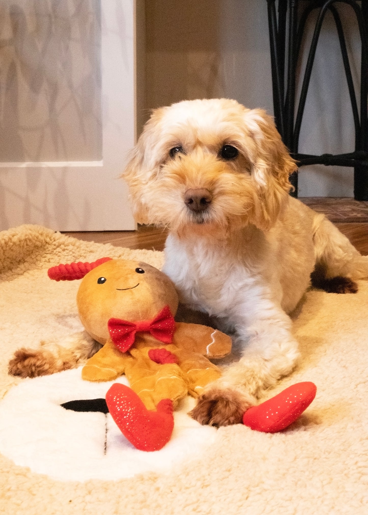 George Gingerbread Man | Christmas Dog Rope & Plush Toy by Cupid & Comet