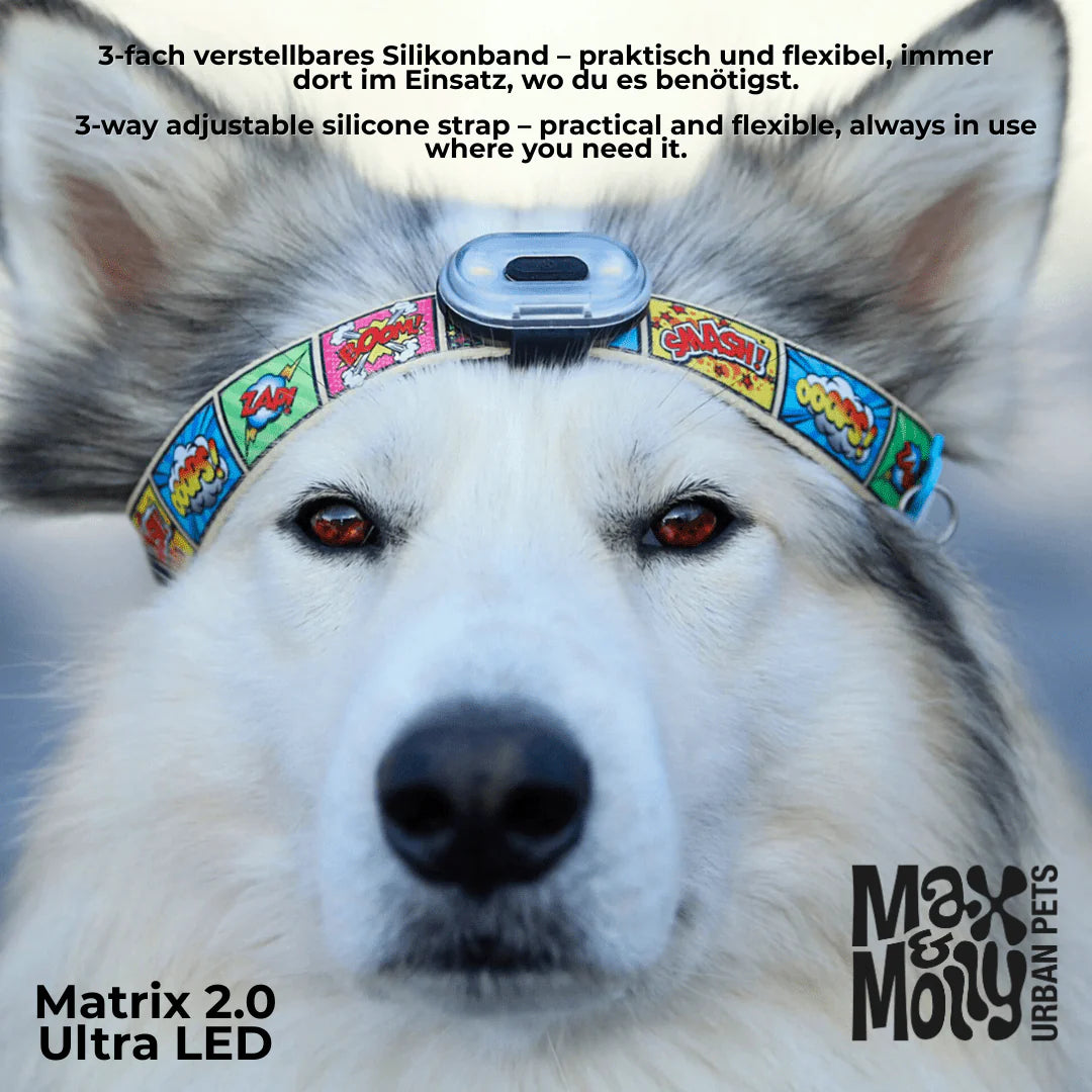 Dog wearing a colorful silicone strap with text about its features and Max & Molly branding.