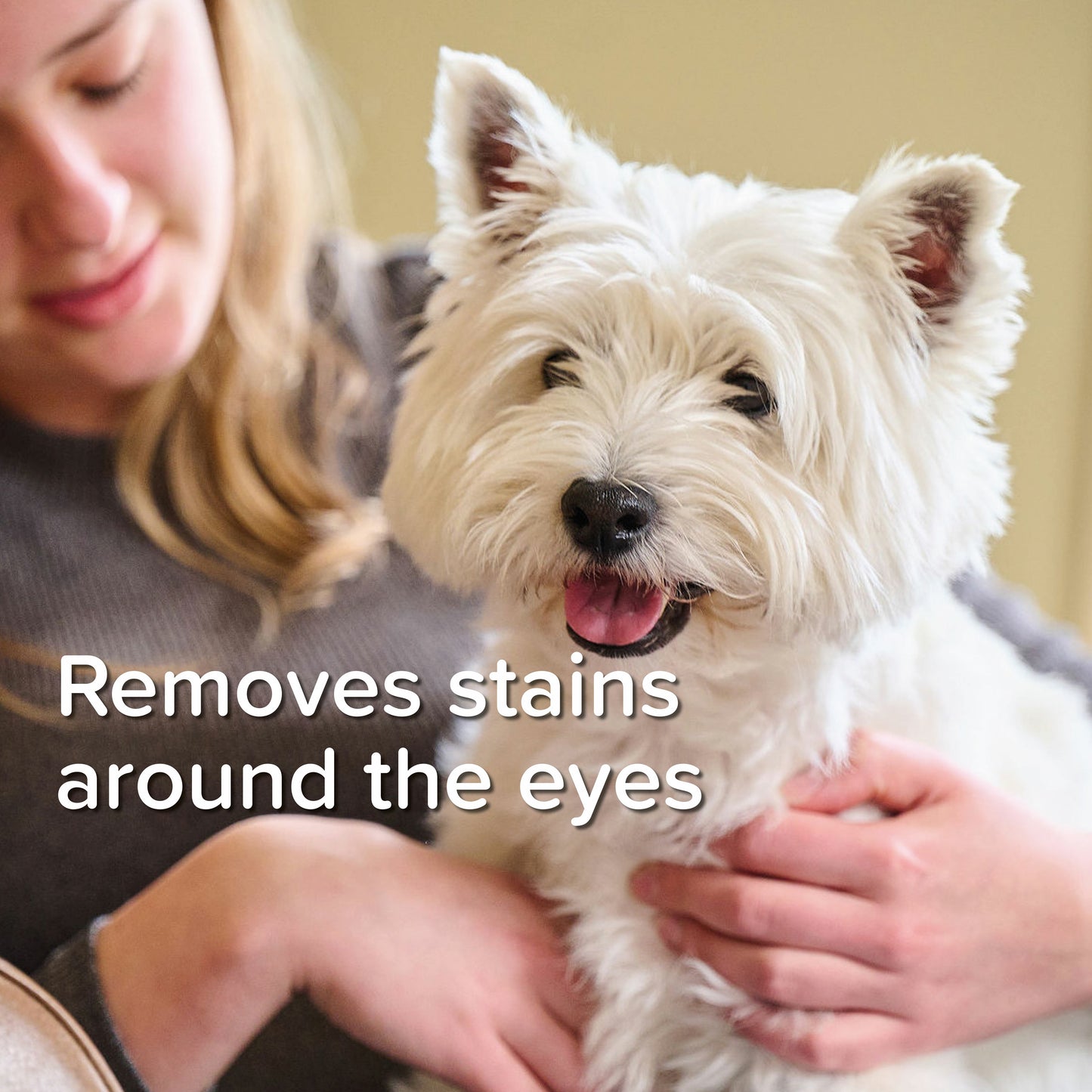 Beaphar | Dog Healthcare | Tear Stain Remover - 50ml