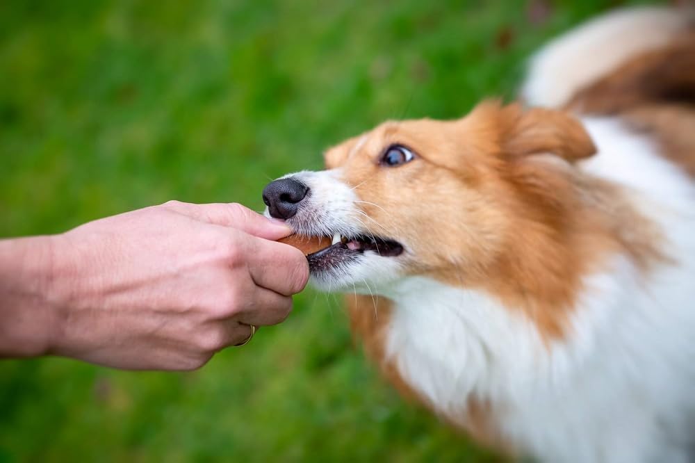 Rosewood Chewy Meat Grillers | Natural Dog Treats (Chicken & Duck)