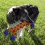 KONG Rope Rally Bone | Durable Soft Dog Tug Toy