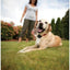 Petsafe | Boundary Control | In-Ground Radio Fence Containment System