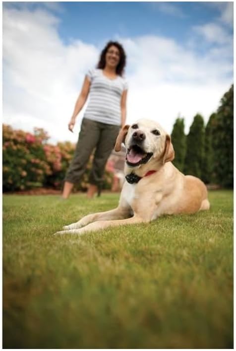 Petsafe | Boundary Control | In-Ground Radio Fence Containment System