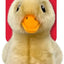 Kong Toughz duck-shaped dog toy with packaging on a white background