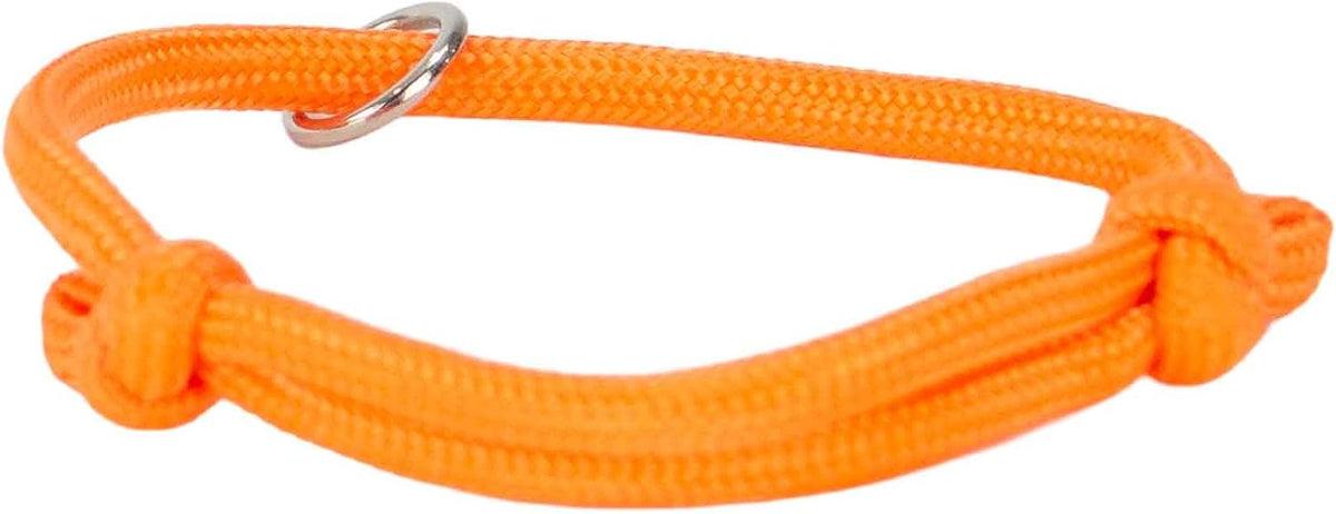 Ancol Whelping Collars 12pk