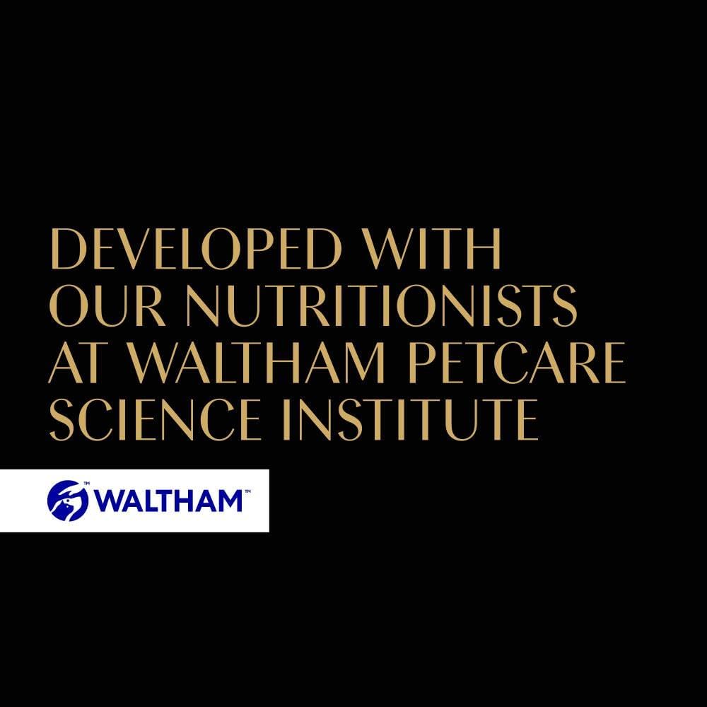 Sheba | Wet Cat Food Tray | Fine Flakes | Chicken in Jelly - 85g