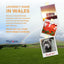 Promotional graphic for PhytoPet featuring the text 'LOVINGLY MADE IN WALES' over a scenic Welsh landscape with a rainbow, plus three sample pet photos and a dog portrait on a grassy hillside.