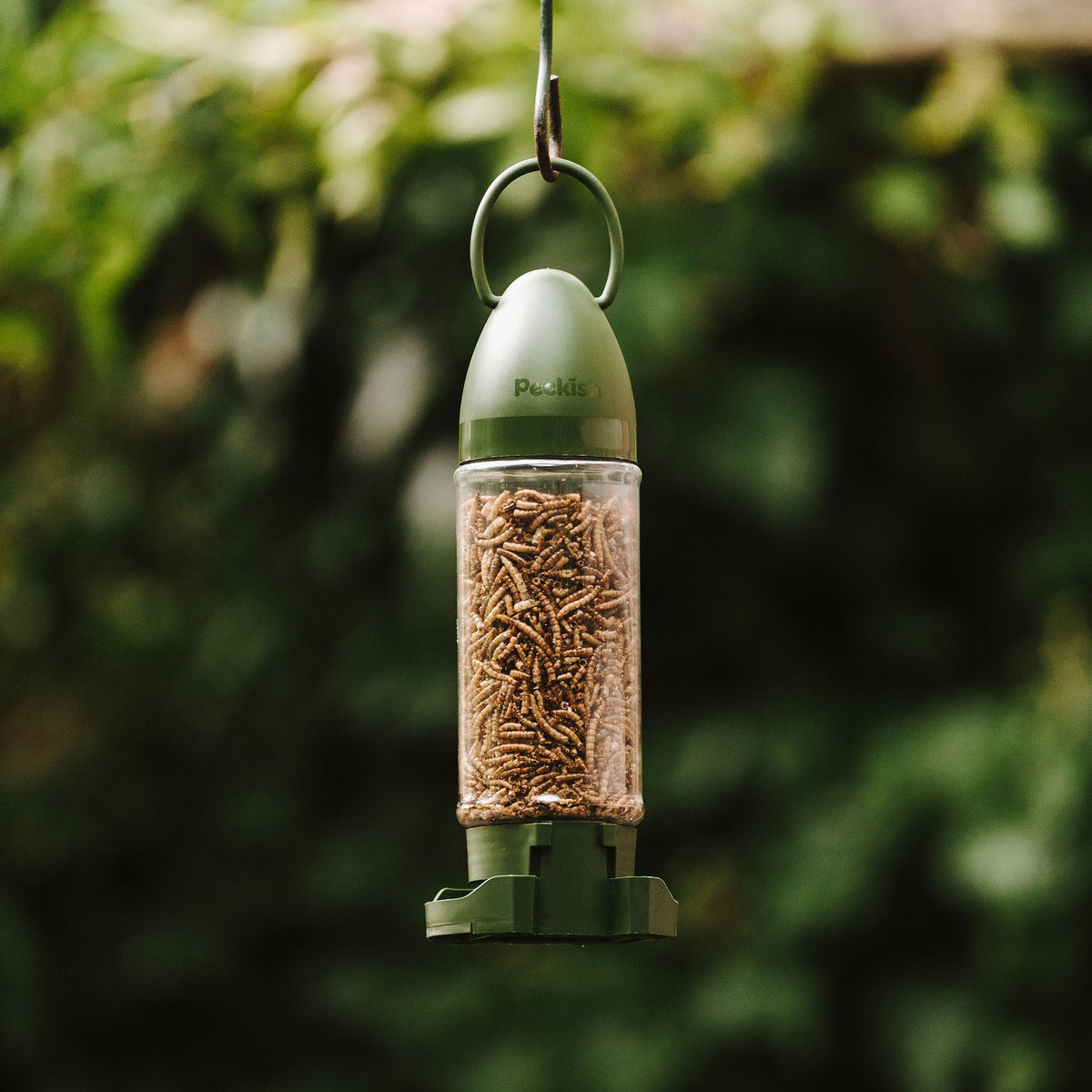 Peckish | Wild Bird Food | Dried Mealworm Filled Feeder 90g