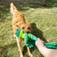 KONG Knots Frog Dog Toy | Durable Plush with Knotted Rope for Large & Extra Large Dogs