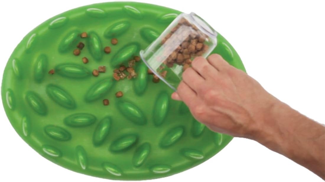 Company of Animals GREEN Slow Interactive Feeder | Anti-Gulp Large Dog Bowl