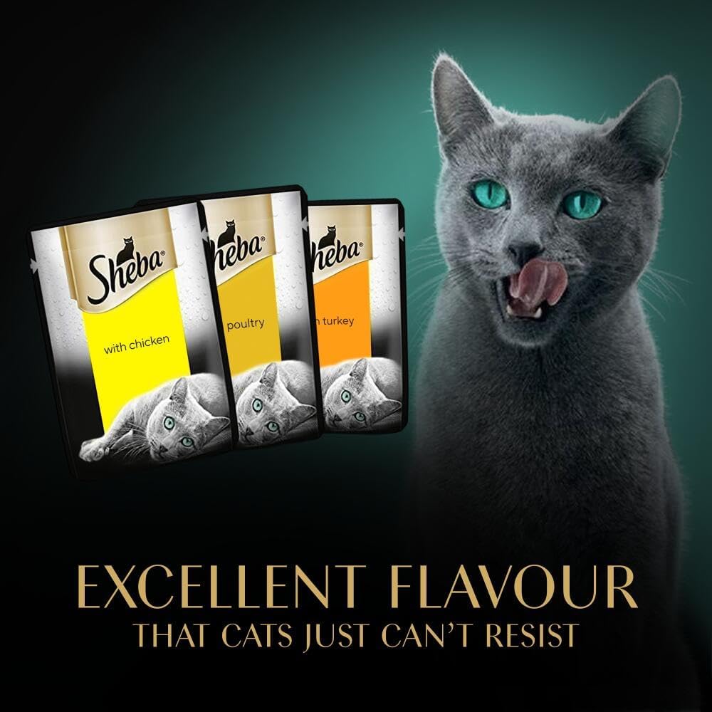 SHEBA Fresh & Fine Cat Food Pouches Poultry in Gravy 50x50g | Complete Wet Food for Adult Cats