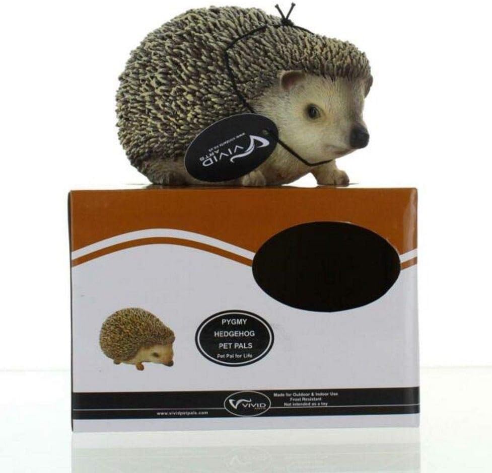 Vivid Arts Pet Pals Pygmy Hedgehog