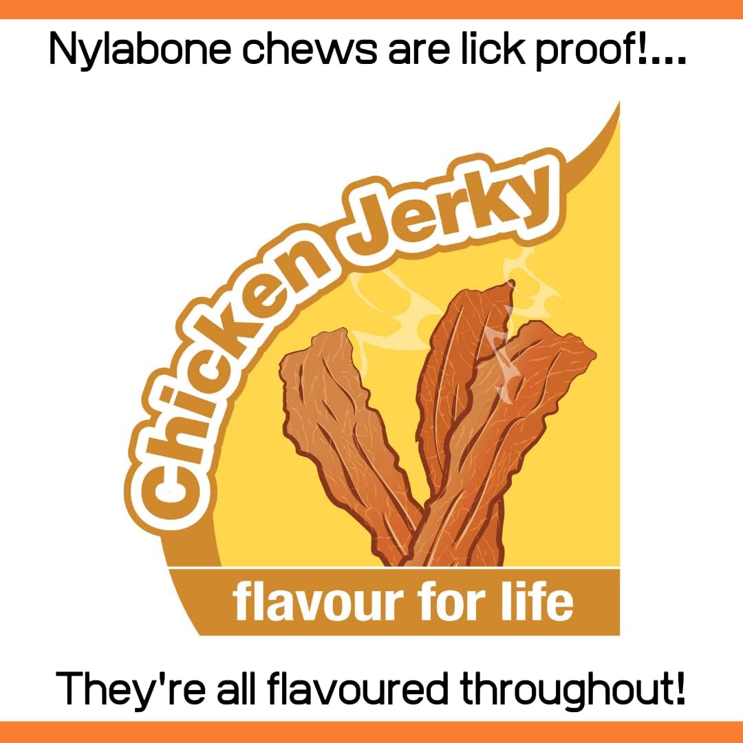 Nylabone Extreme Chew Specialty Shapes | Shish Kebab & Knot Bone