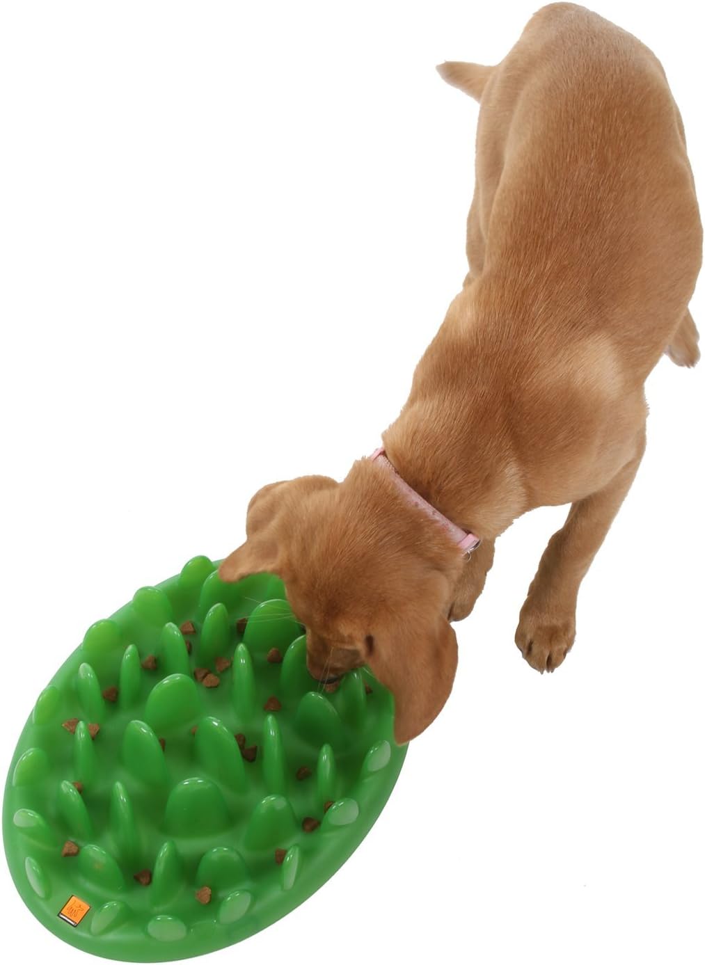 Company of Animals GREEN Slow Interactive Feeder | Anti-Gulp Large Dog Bowl