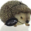 Vivid Arts Pet Pals Pygmy Hedgehog