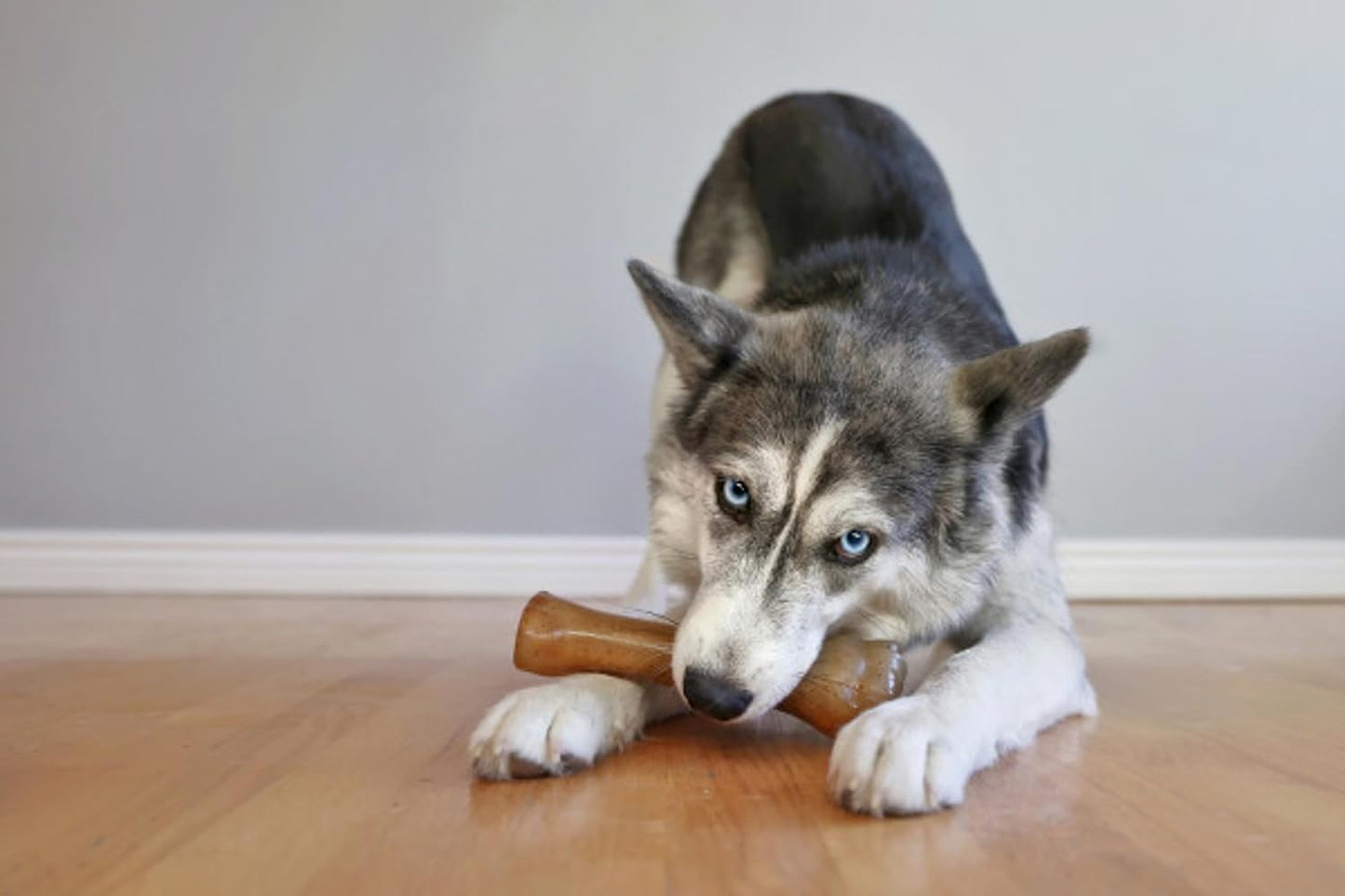 Nylabone Puppy Chew Bone Chicken & Chill & Chew Teething Toys | Ireland & UK