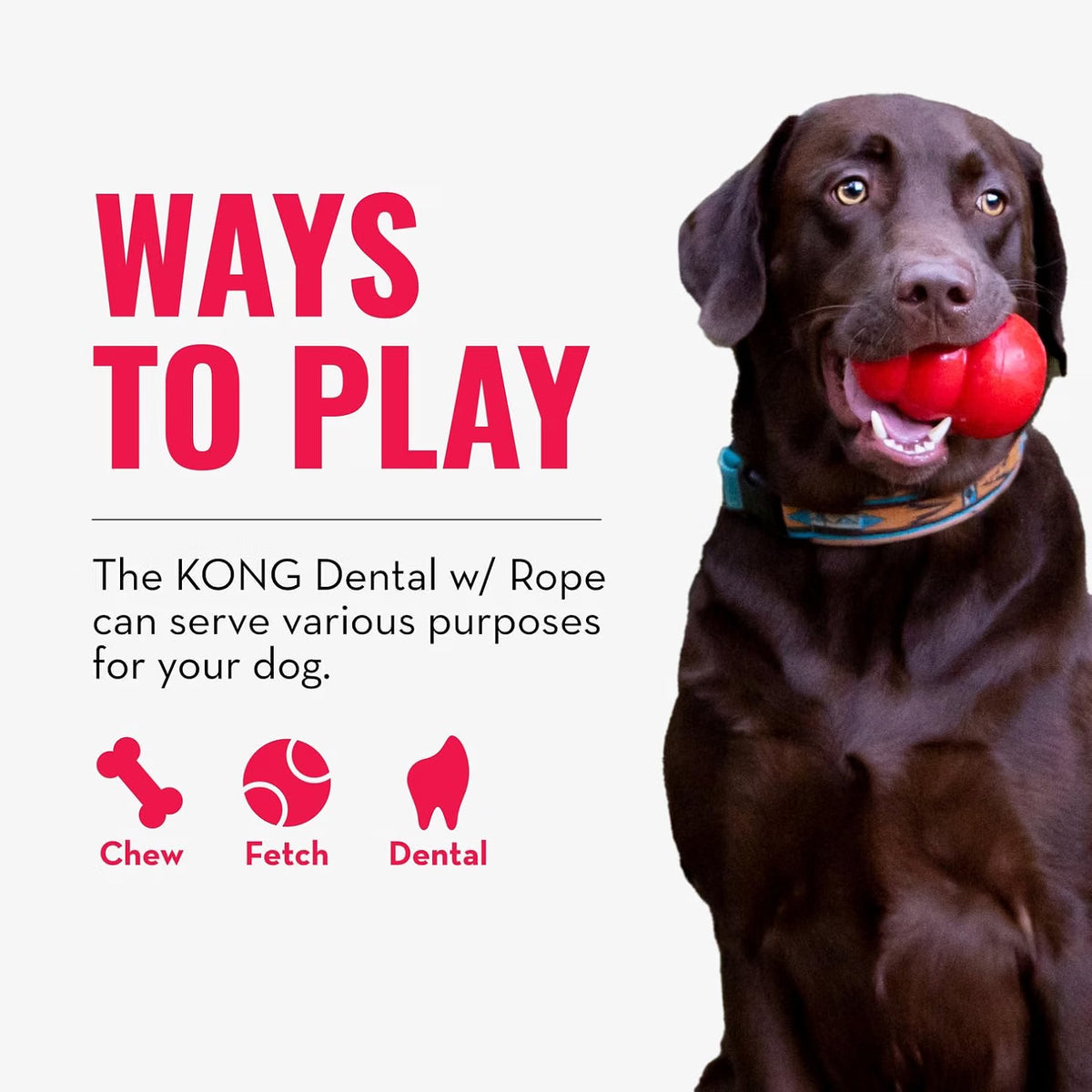 KONG Dental Dog Toy with Rope | Small & Medium