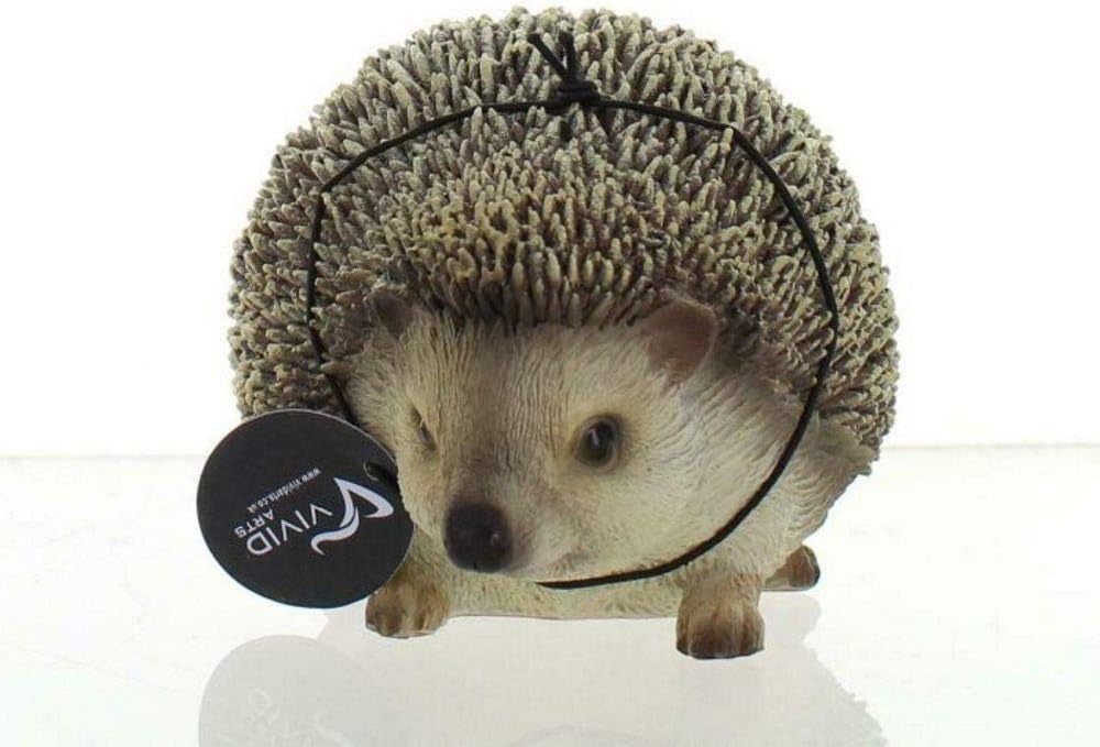 Vivid Arts Pet Pals Pygmy Hedgehog