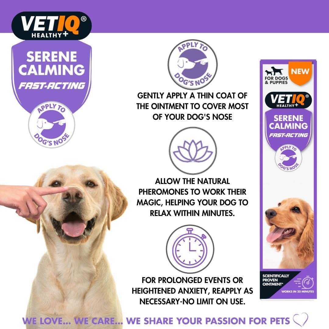VetIQ Serene Calming product for dogs with a dog and packaging on a white background