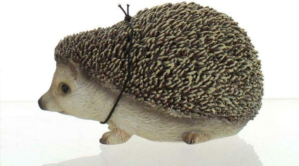 Vivid Arts Pet Pals Pygmy Hedgehog