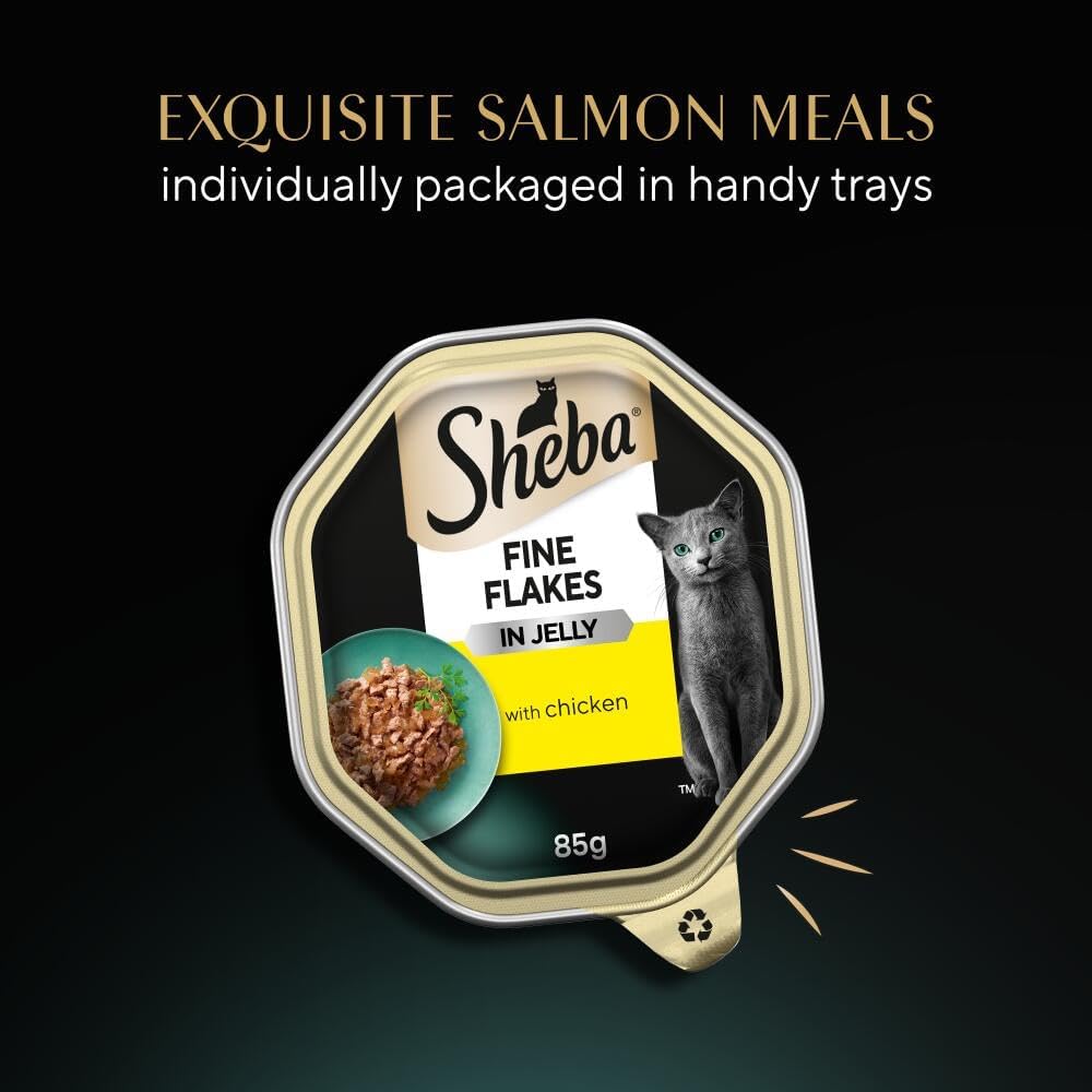 Sheba | Wet Cat Food Tray | Fine Flakes | Chicken in Jelly - 85g