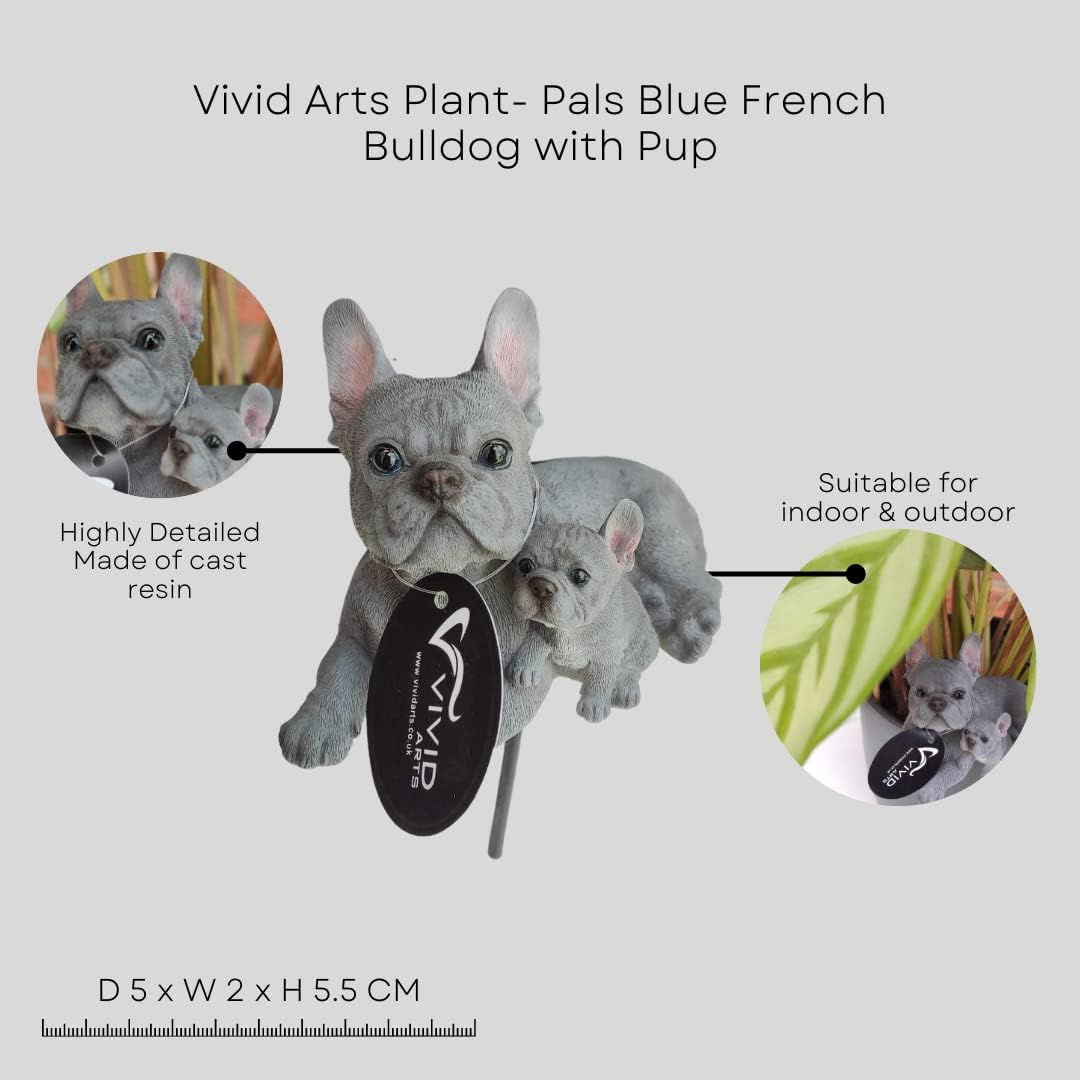 Vivid Arts | Blue French Bulldog with Pup Plant Pal