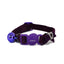 Purple pet collar with a bell and decorative buckle on a white background