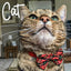 Cat wearing a plaid bow tie with a blurred indoor background