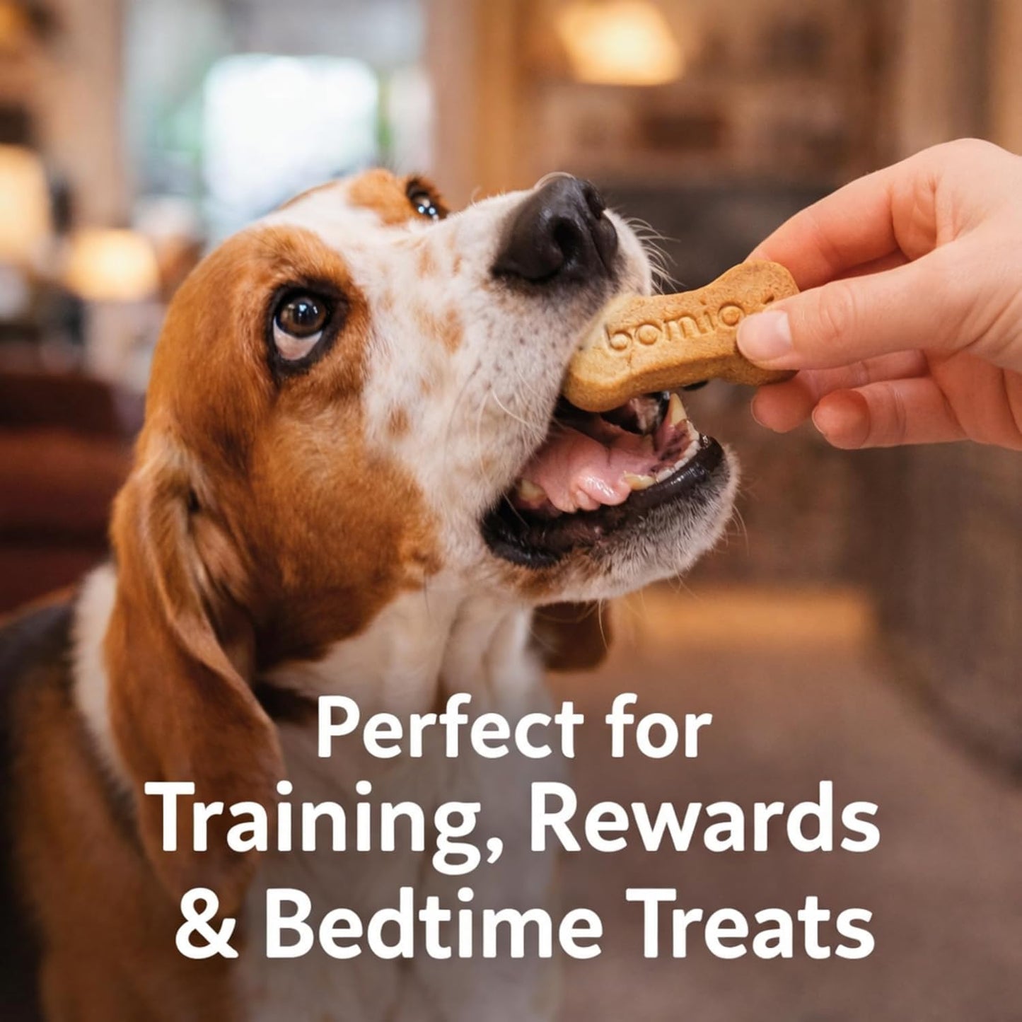 Bonio Dog Biscuits 🦴 Original & Chicken