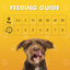 Feeding guide chart for dogs with a smiling dog on a yellow background