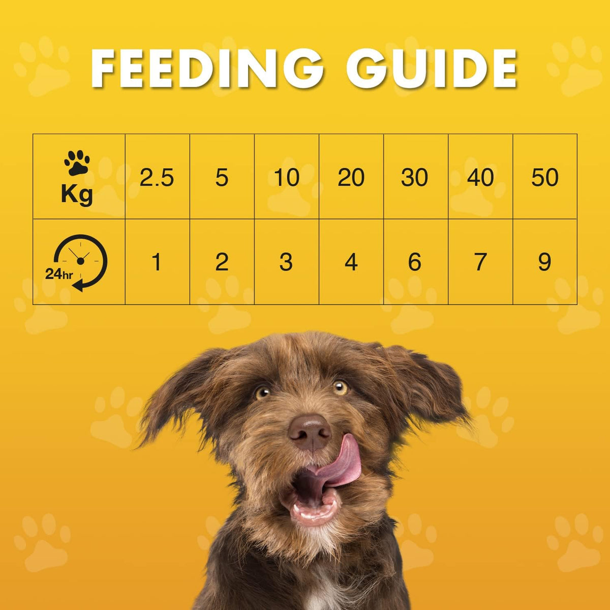 Feeding guide chart for dogs with a smiling dog on a yellow background