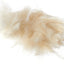 Close-up of a fluffy beige substance on a white background