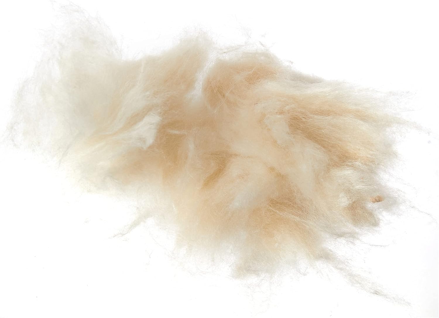 Close-up of a fluffy beige substance on a white background