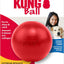 KONG Ball with Hole | Durable Natural Rubber Fetch Dog Toy