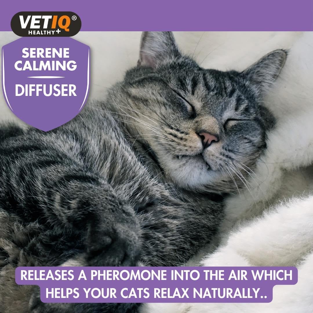 Cat sleeping with VETIQ Serene Calming Diffuser advertisement