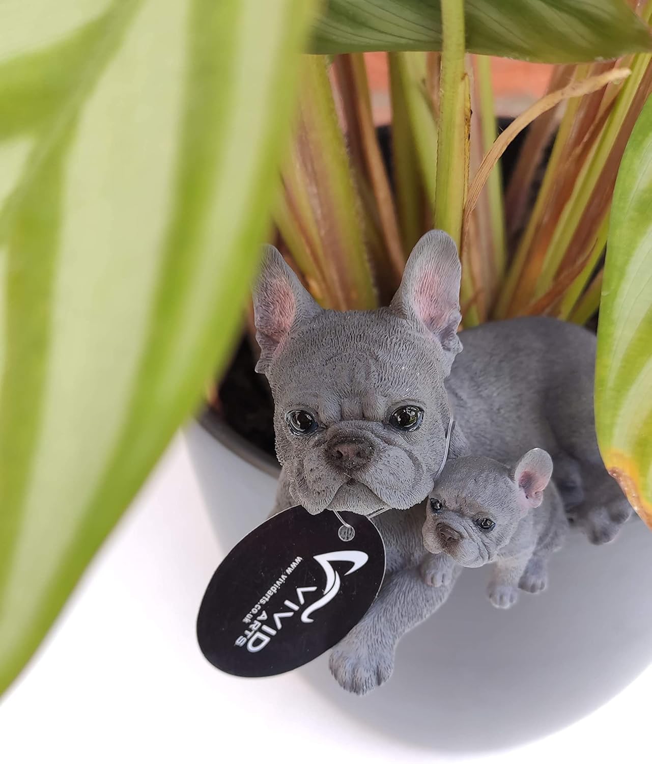 Vivid Arts | Blue French Bulldog with Pup Plant Pal