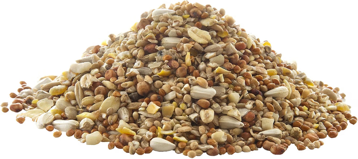 Peckish Complete Seed Mix Filled Feeder | 400g Refillable